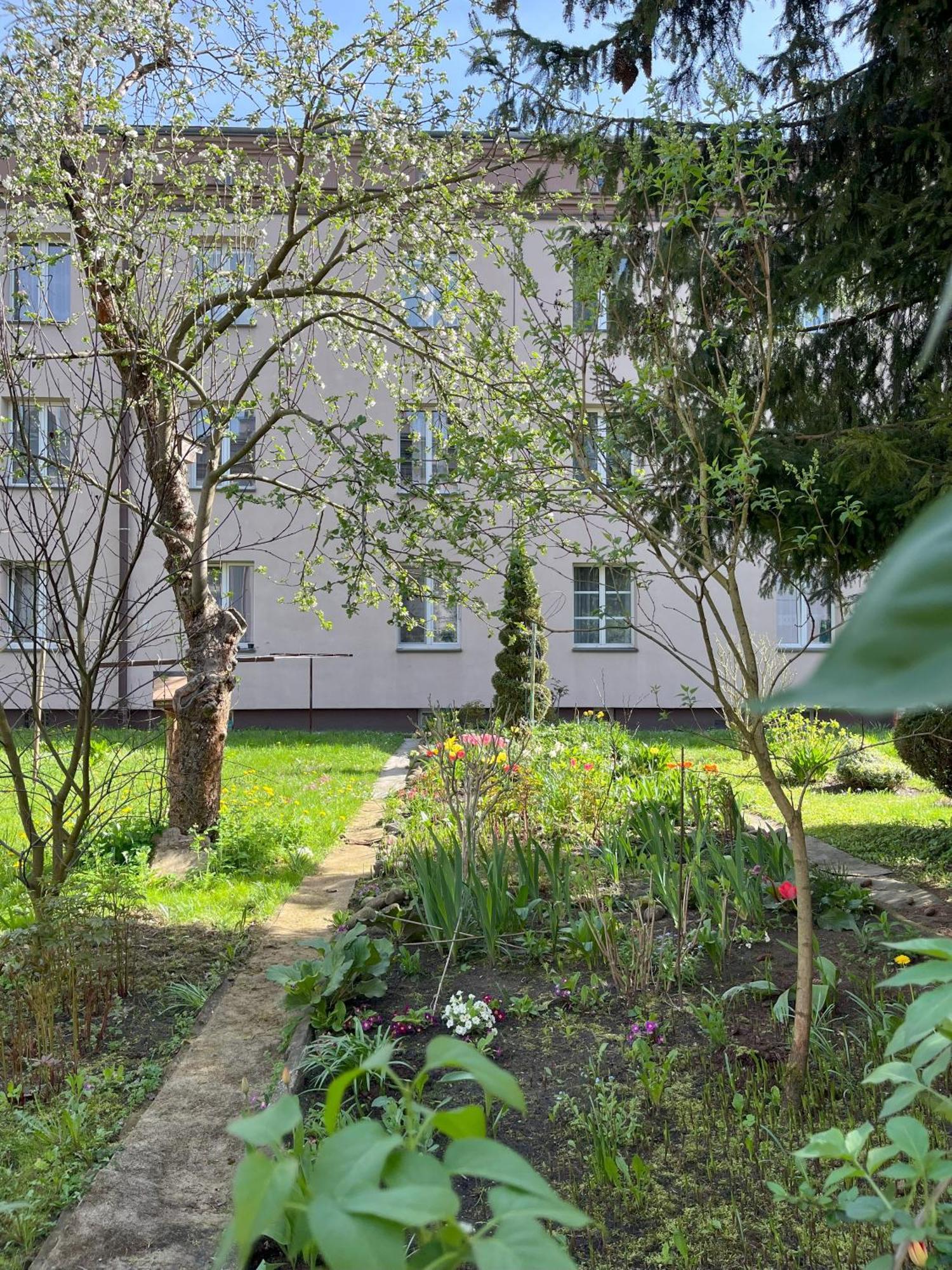 Greenthumb Praska Krasków Eksteriør bilde